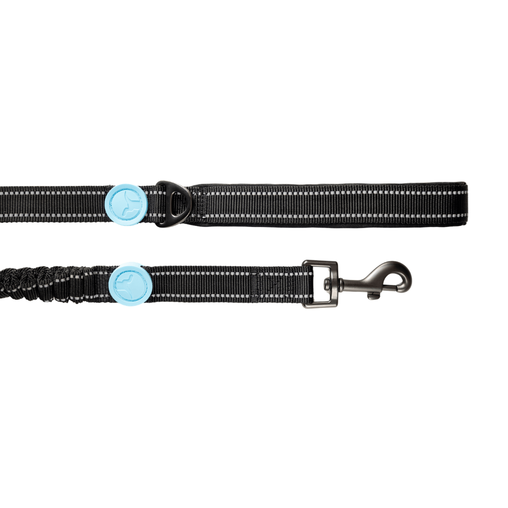 Correa Antishock para Perro Puppis Negra L