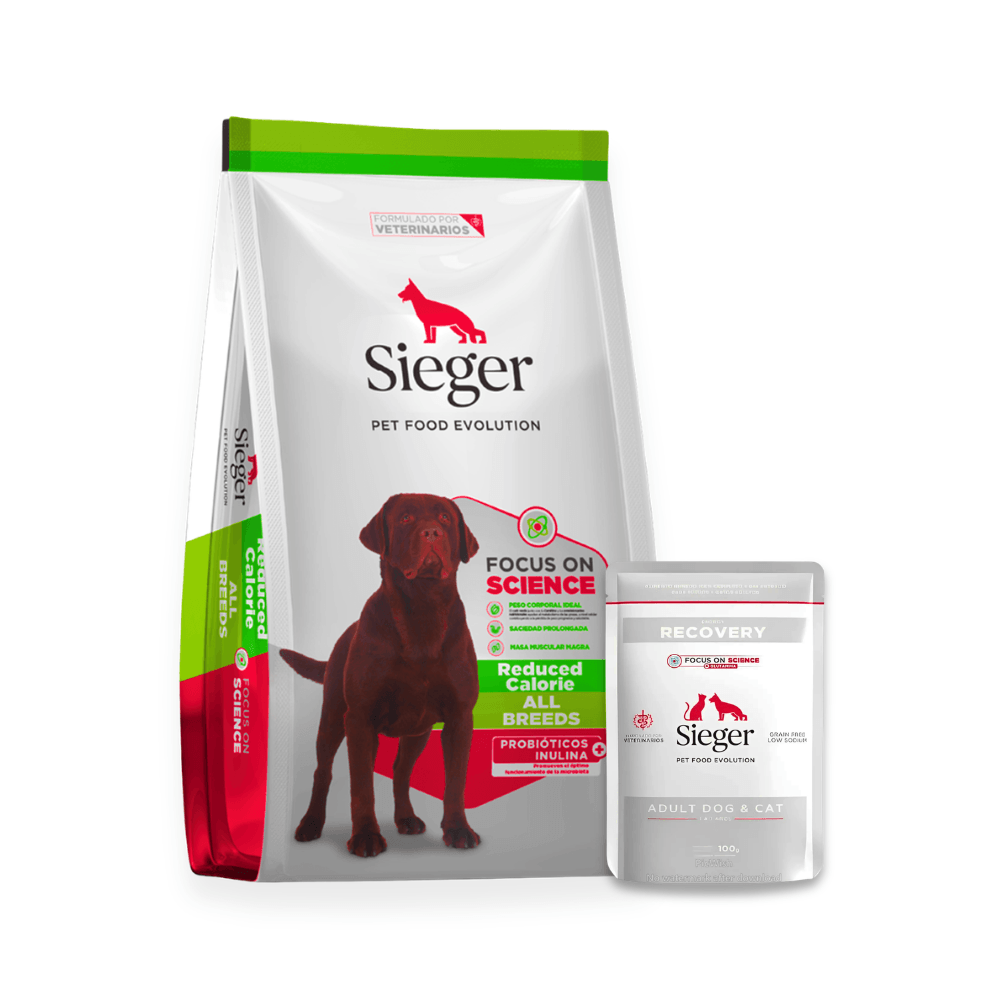 Combo Sieger Control de Calorías 3kg + Pouch Húmeda Recovery 100g 3 kg Seco + Pouch Recovery 100g