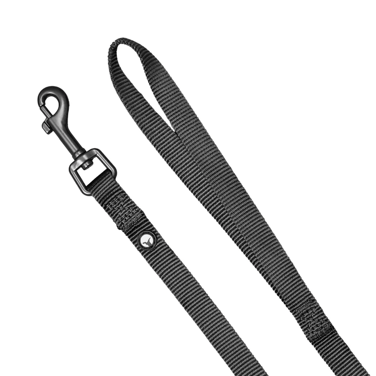 Correa para Perro Puppis Nylon Negro 2,5 x 120 cm