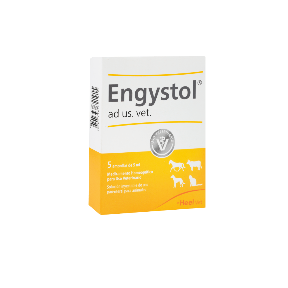 Engystol (Precio Por Ampolla) Único