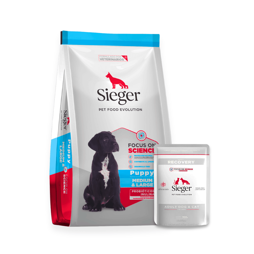 Combo Sieger Cachorro Razas Medianas y Grandes 3kg + Pouch Húmeda Recovery 100g 3 kg Seco + Pouch Recovery 100g