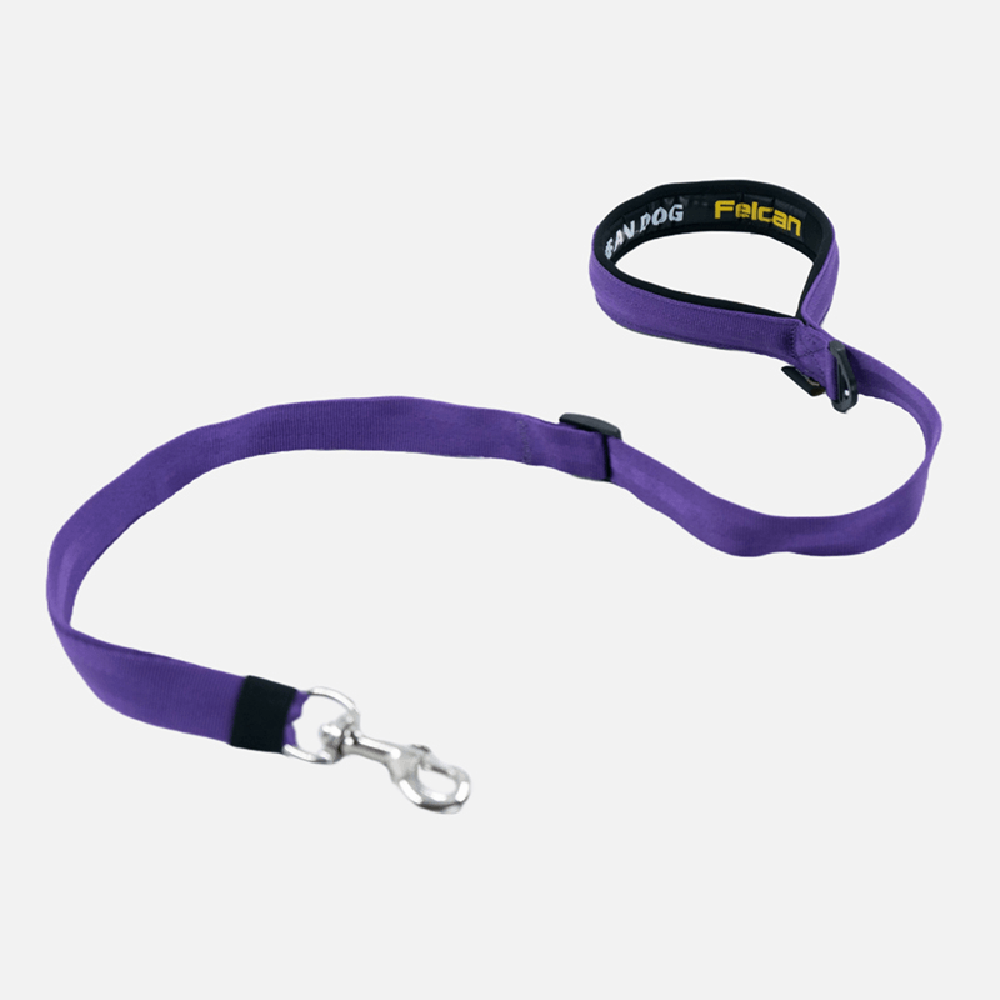 Correa Para Perro Walker Morado Felcan L