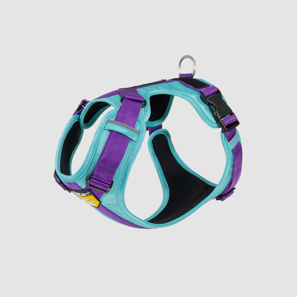 Arnés D-Urban Menta/Morado Felcan para perro M