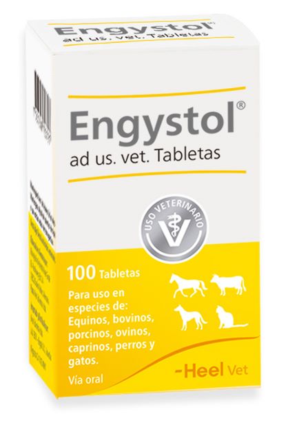 Medicamento Para Mascotas Heel Engystol Ad Us. Vet Tabletas X 100 mg 100 mg