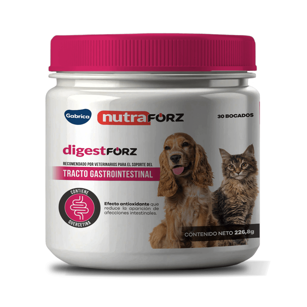 Suplemento digestivo Digesforz para mascota Nutraforz 30 mast