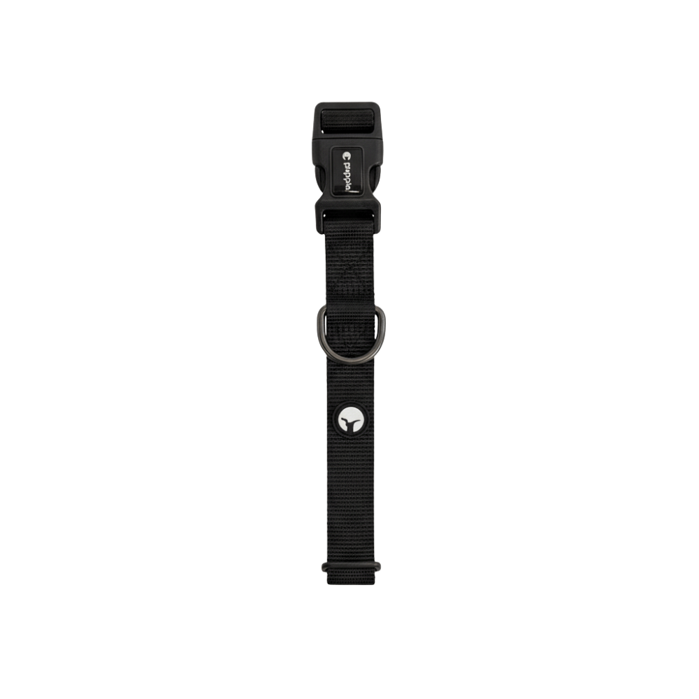 Collar para Perro Puppis Nylon Negro 2,5 cm