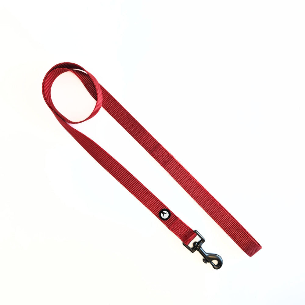 Correa para Perro Puppis Nylon Rojo 2,5 x 120 cm