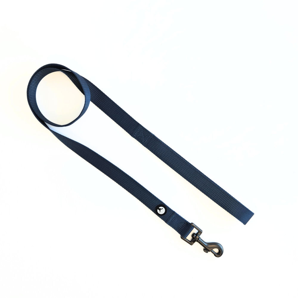 Correa para Perro Puppis Nylon Azul 2,5 x 120 cm