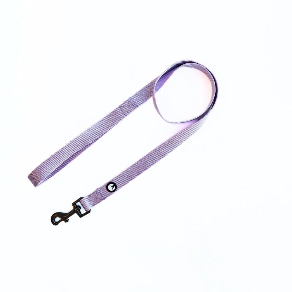 Correa para Perro Puppis Nylon Lila 2,5 x 120 cm