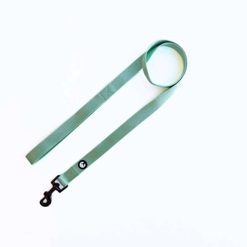 Correa para Perro Puppis Nylon Aqua 2,5 x 120 cm
