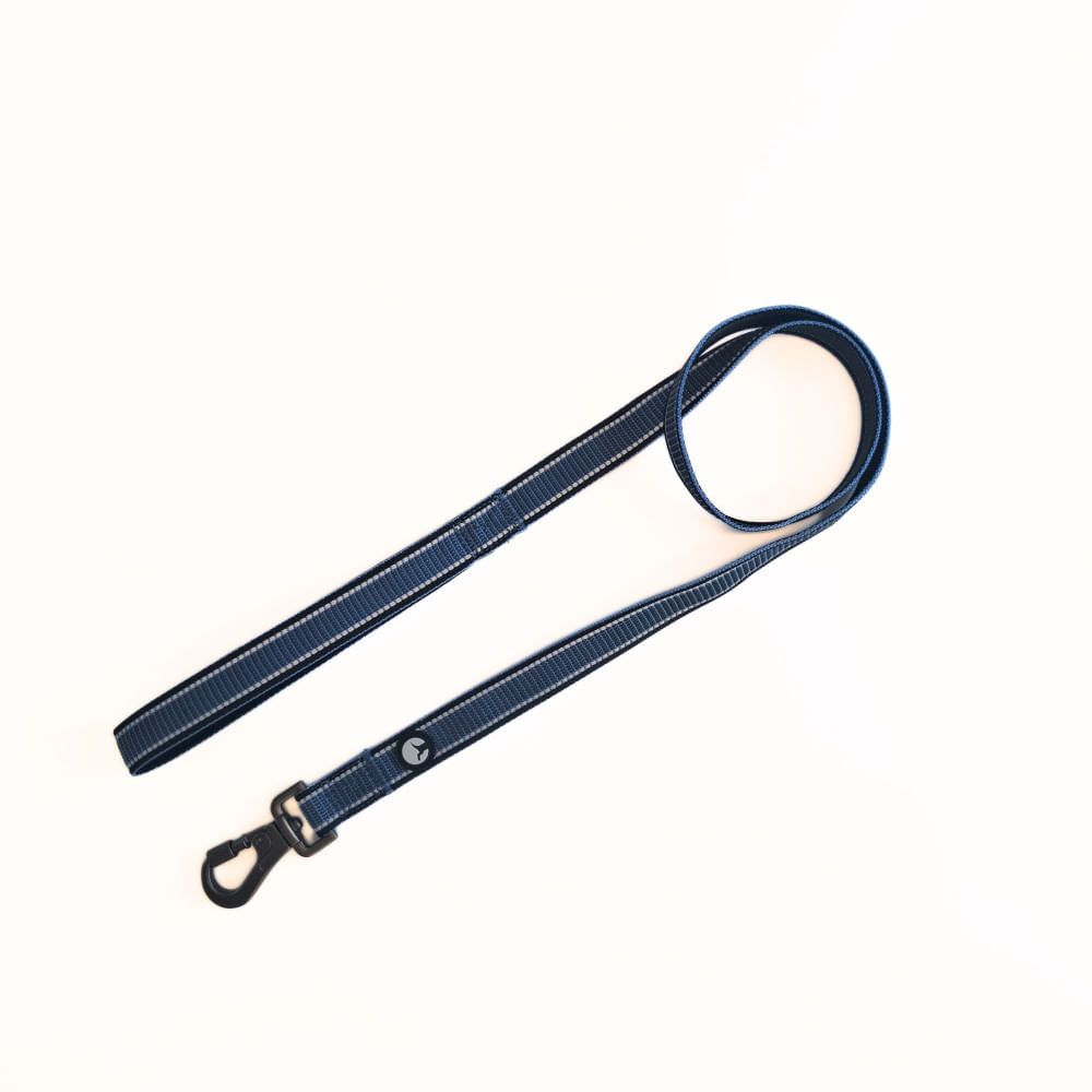 Correa Premium para Perro Puppis Nylon Azul 2,5 x 120 cm
