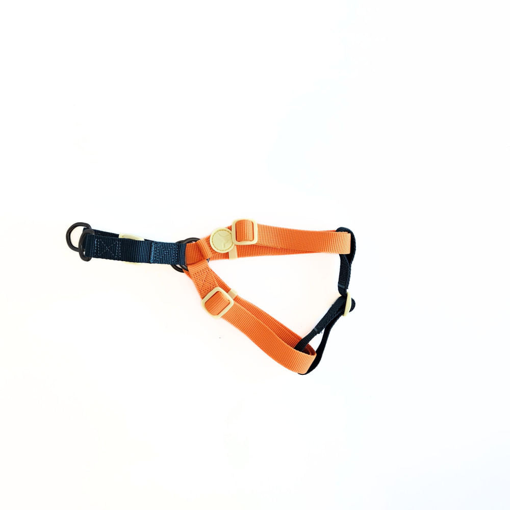 Arnés para Perro Puppis Poly Teal Dominion 2,5 cm