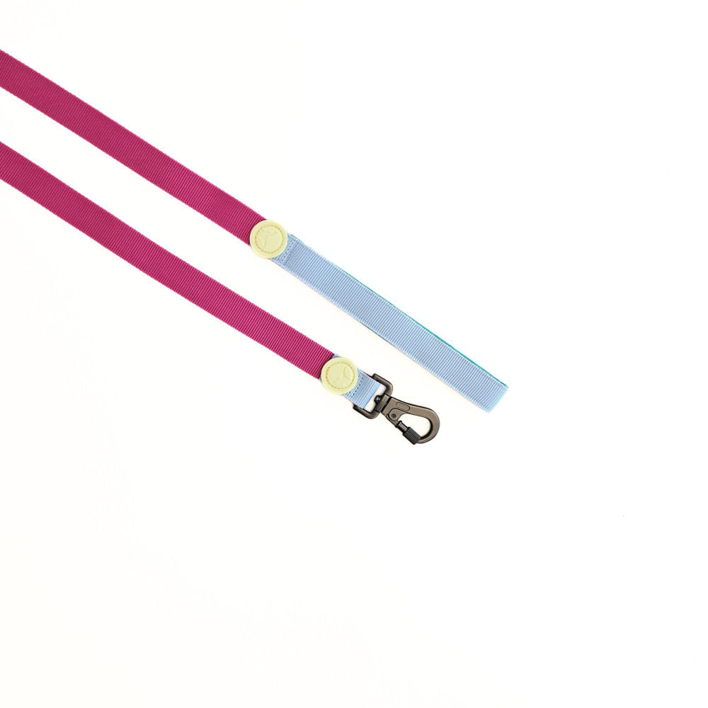 Correa para Perro Puppis Poly Magenta Muse 2,5 x 120 cm