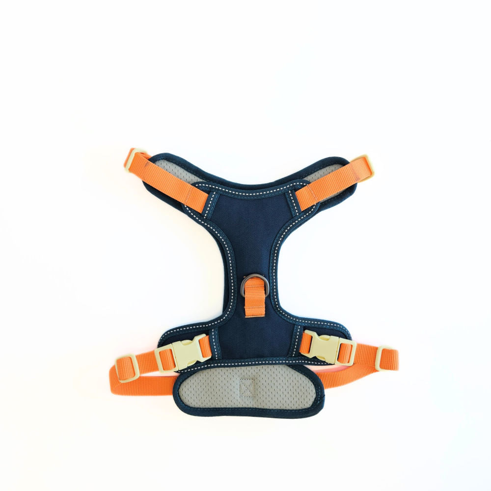 Arnés para Perro Puppis Pechera Poly Teal Dominion L · 2,5 cm