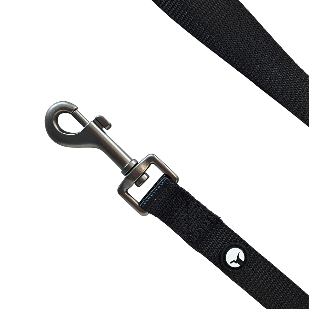 Correa Nylon para Perro Puppis Negra 2,5 cm x 10 m
