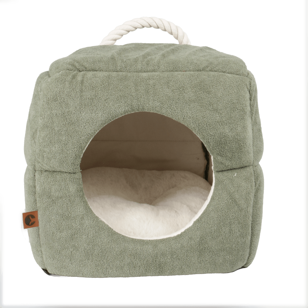 Casa Cubo Verde Gato Puppis S