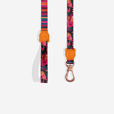 Correa Para Mascotas Zeedog Selva S