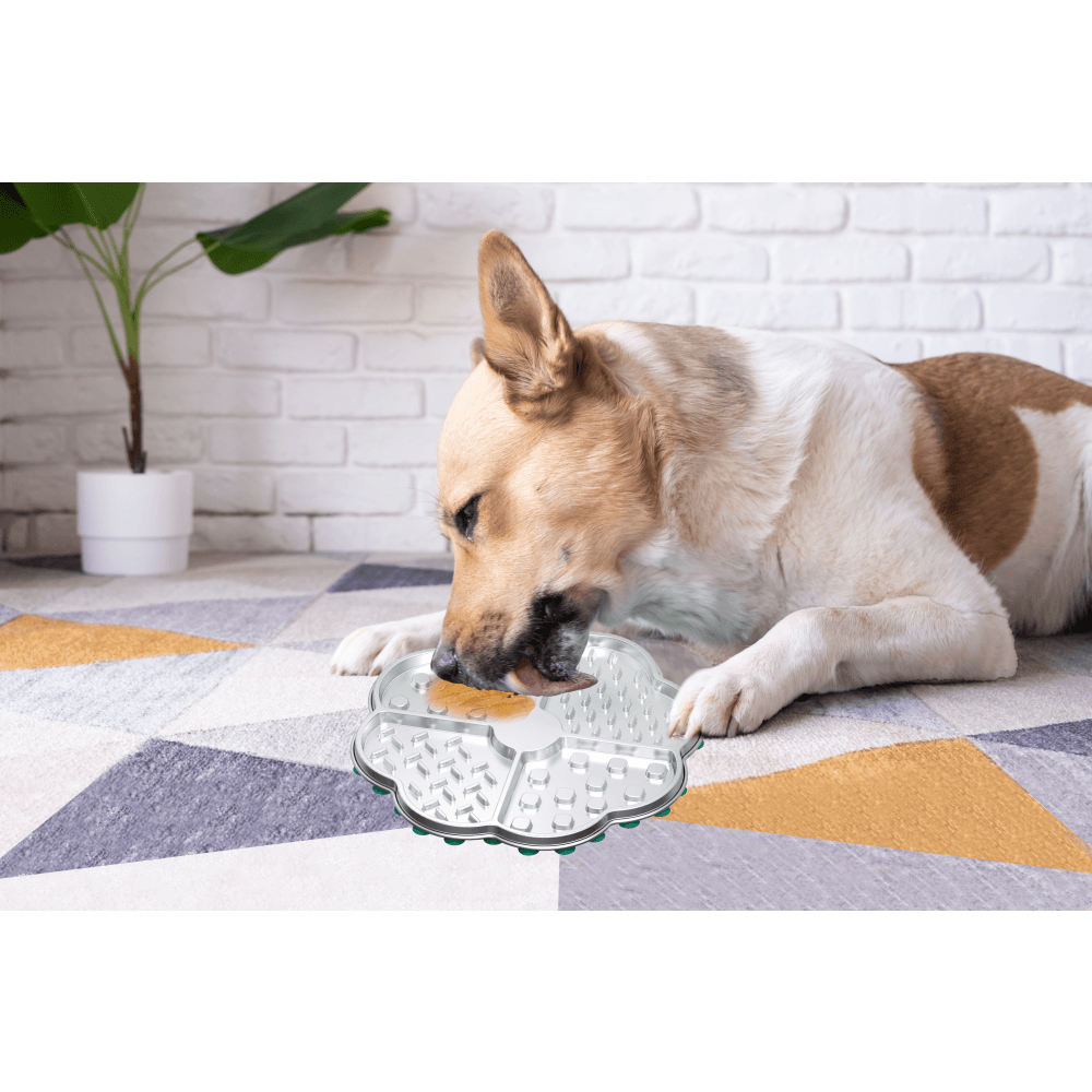 Lickmat de acero inoxidable para mascota AFP Único