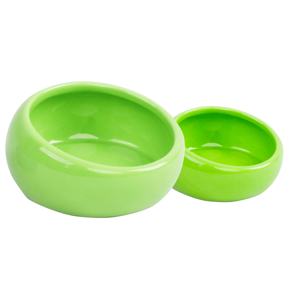 Plato Inclinado Animal Hamster Pawise L