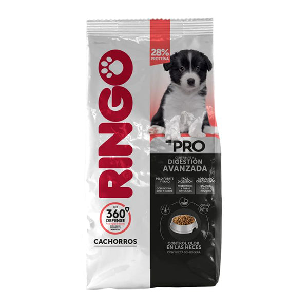 Ringo + Pro - Cachorros