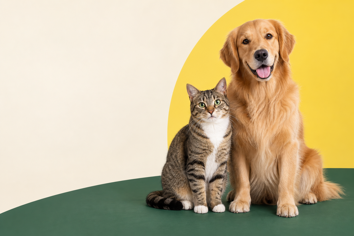 Un perro y un gato juntos sobre los colores de Agrocentro