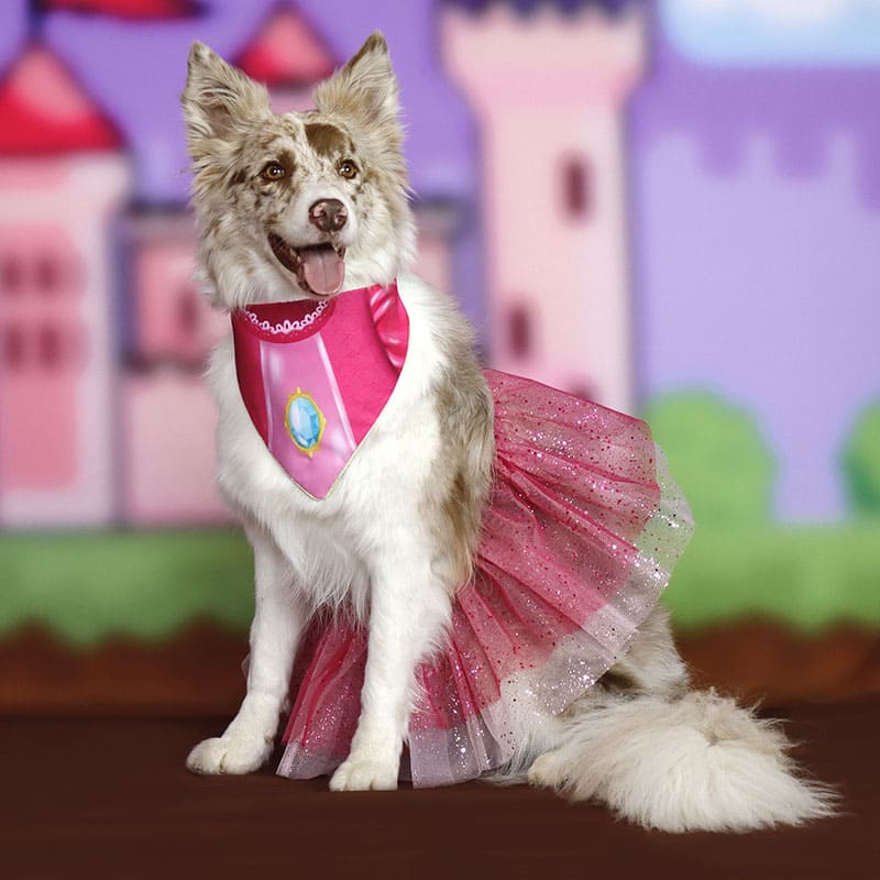 Disfraz para Perro Peach A&B Disfraz para Perro la Peach A&B talla M