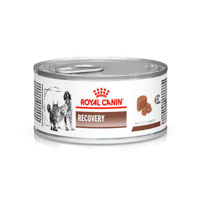 Alimento Húmedo Para Perro y Gato Royal Canin Veterinary Diet Recovery Wet 145 g