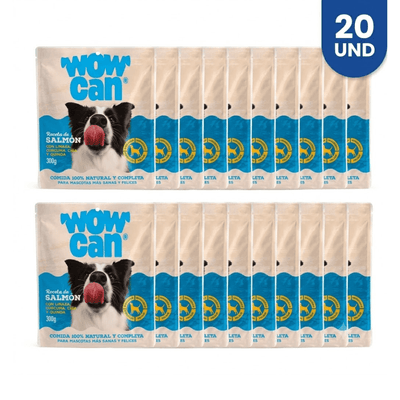 Combo Alimento Húmedo Para Perro Wow Can Salmón- x20 20 Un