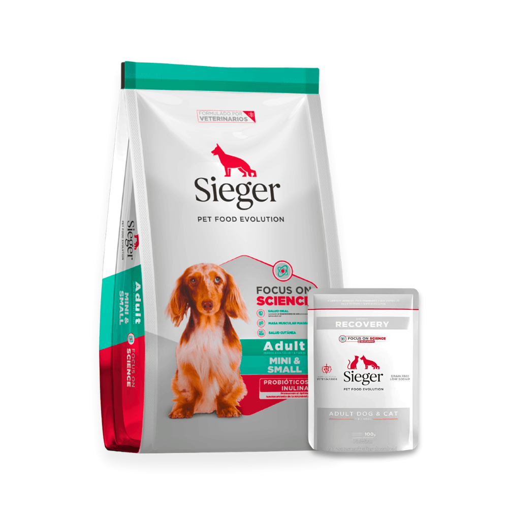 Combo Sieger Adulto Mini 3kg + Pouch Húmeda Recovery 100g 3 kg Seco + Pouch Recovery 100g