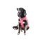 Ropa post quirurgica Para Perro Petmed Regular Dry Ligth Supreme Rosa Talla 3