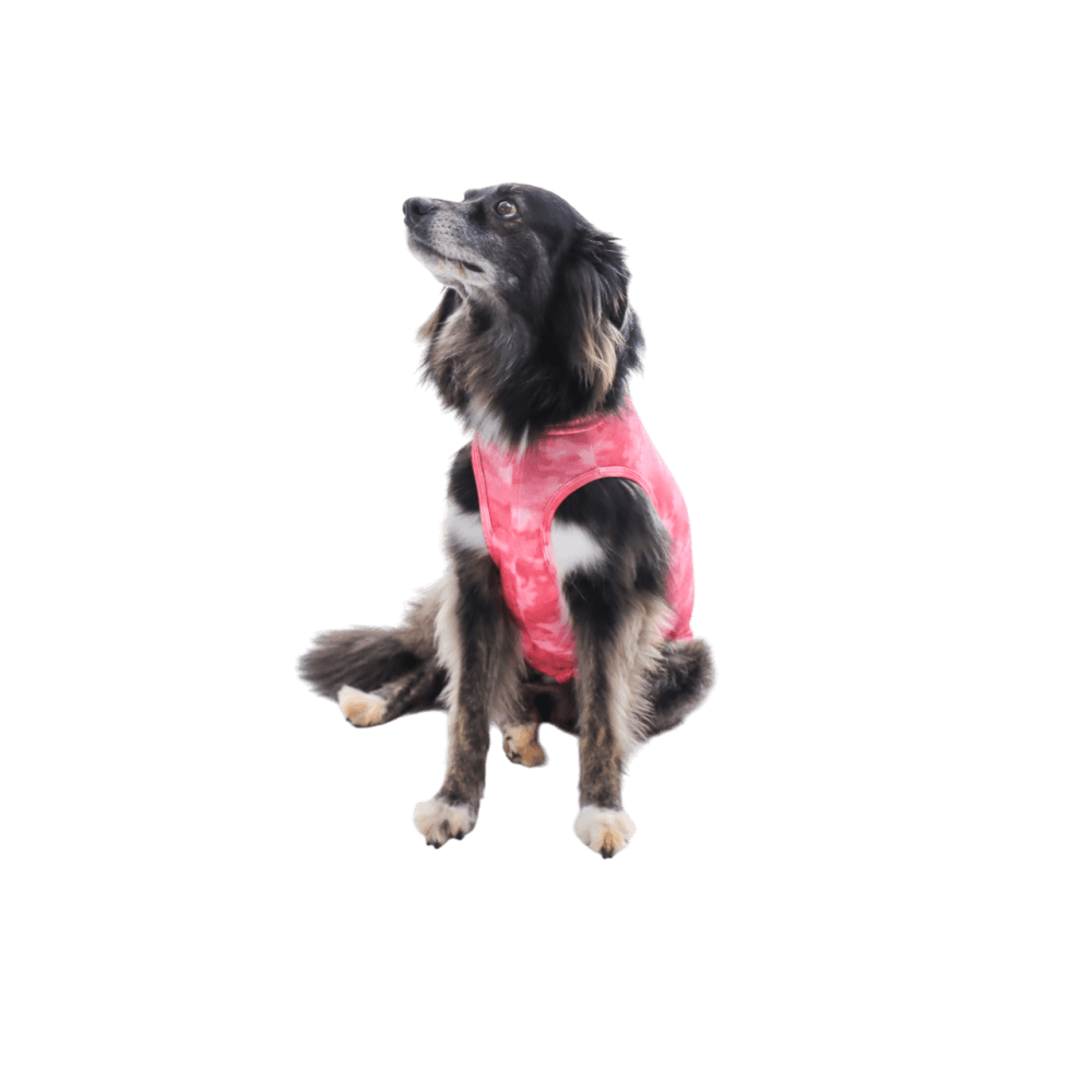 Ropa post quirurgica Para Perro Petmed Regular Dry Ligth Supreme Rosa Talla 3