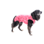 Ropa post quirurgica Para Perro Petmed Regular Dry Ligth Supreme Rosa Talla 11