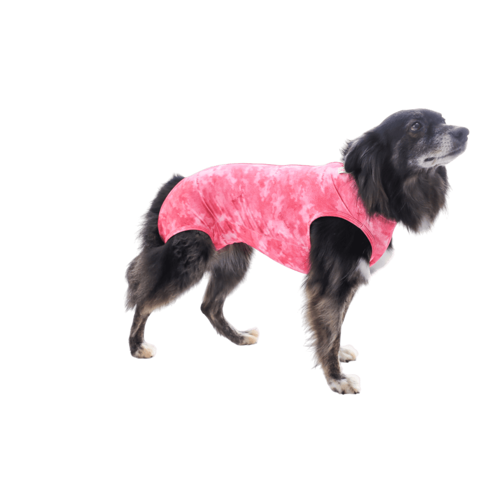 Ropa post quirurgica Para Perro Petmed Regular Dry Ligth Supreme Rosa Talla 12