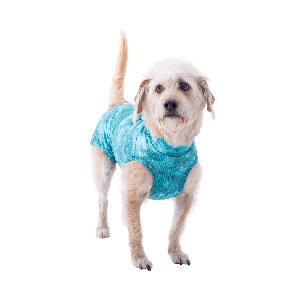 Ropa post quirurgica Para Perro Petmed Regular Dry Ligth Supreme Verde Talla 1