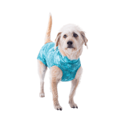Ropa post quirurgica Para Perro Petmed Regular Dry Ligth Supreme Verde Talla 1
