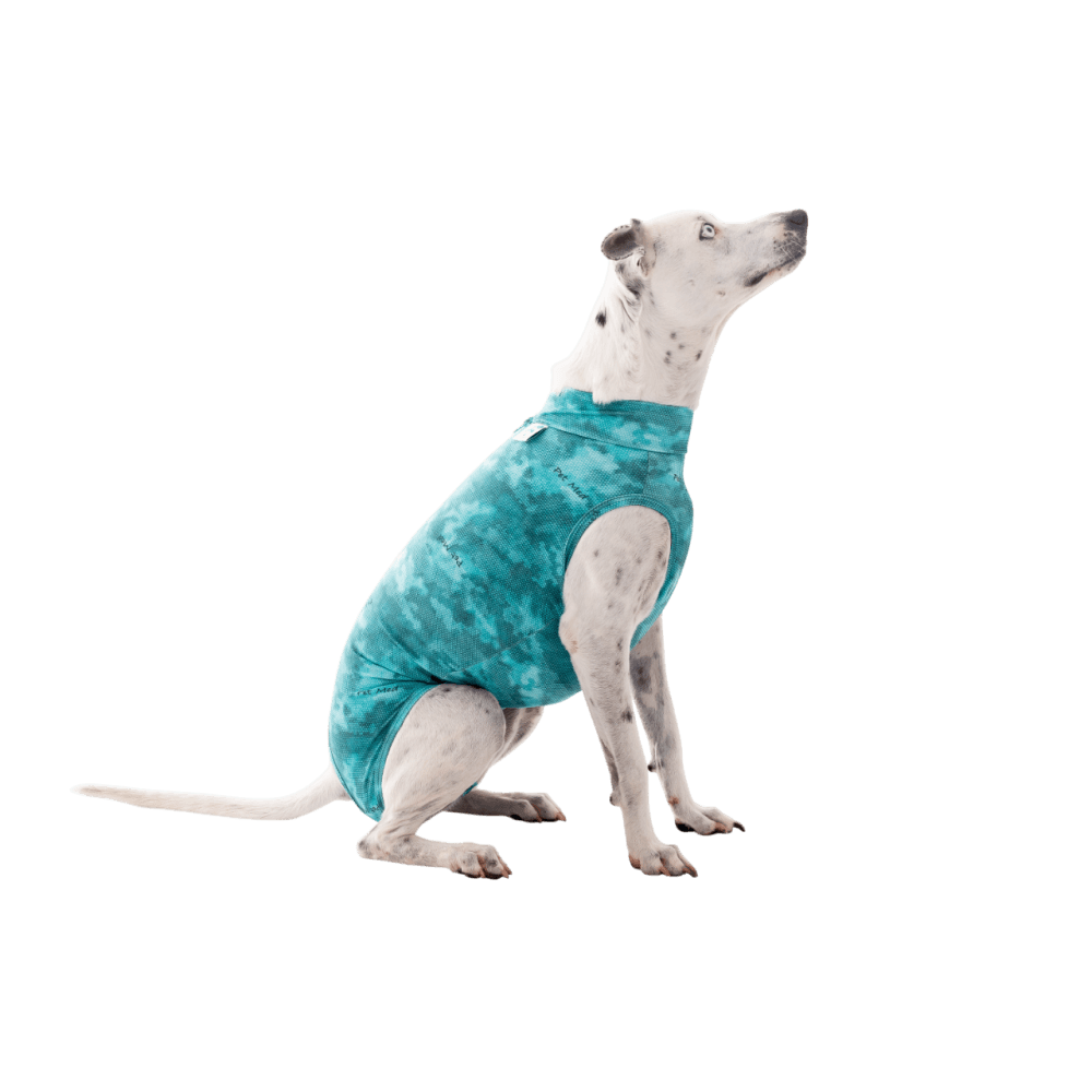 Ropa post quirurgica Para Perro Petmed Regular Dry Ligth Supreme Verde Talla 9