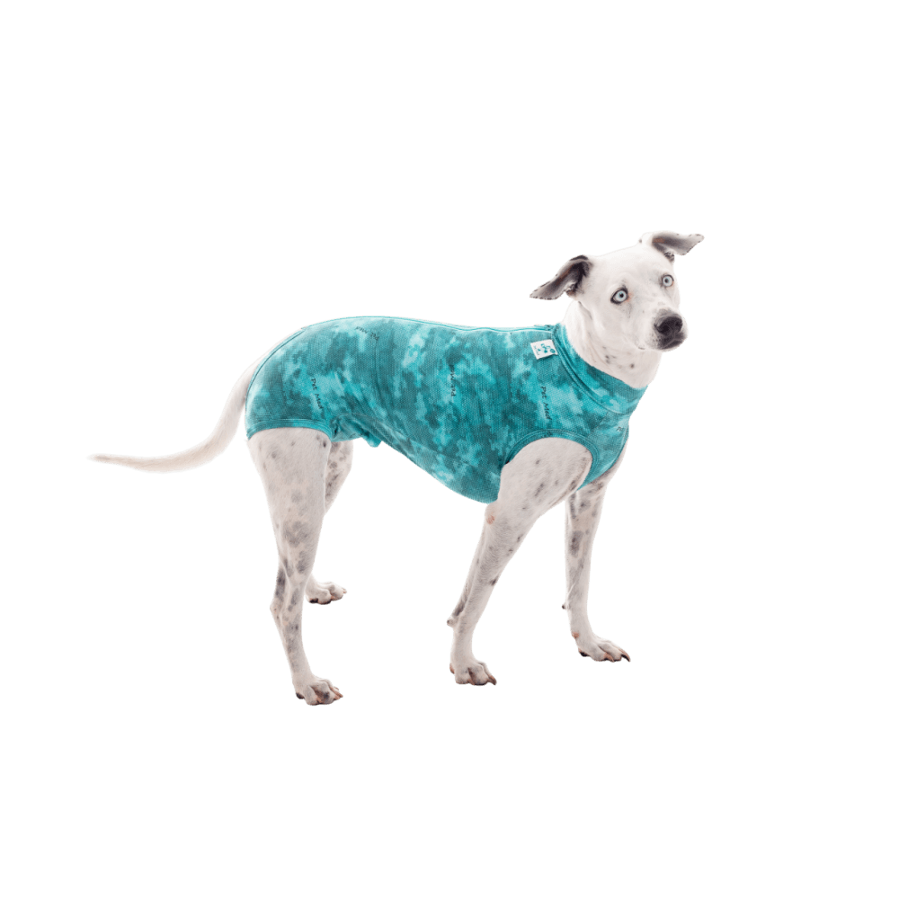 Ropa post quirurgica Para Perro Petmed Regular Dry Ligth Supreme Verde Talla 11