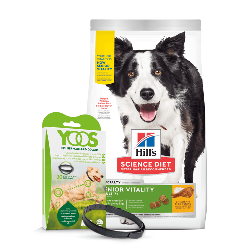 Combo Hills Perro Senior Vitality 7+ 12.5lb + Collar Yoos M/L 12,5 lb & M/L