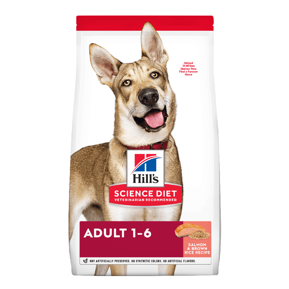Alimento seco para perro Hills Science Diet Adult salmón y arroz 4,5 lb