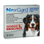 Nexgard Antipulgas