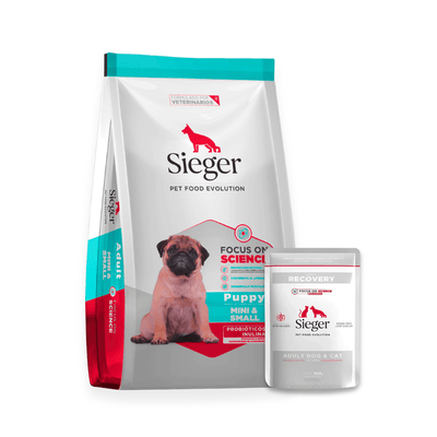Combo Sieger Cachorro Mini 3kg + Pouch Húmeda Recovery 100g 3 kg Seco + Pouch Recovery 100g