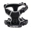 Arnés de Hiking M-Pets Negro Ónix Para Perro S