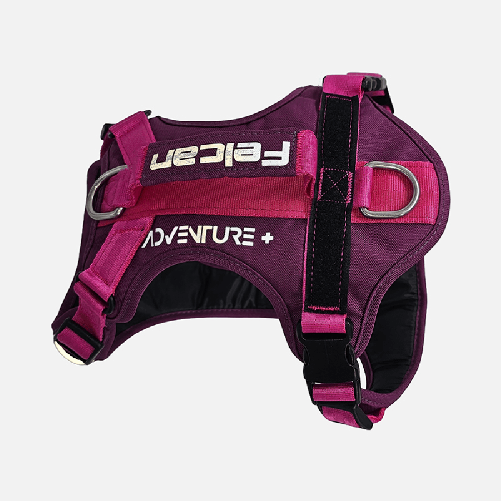 Arnés Para Perro Mountain Morado Felcan S
