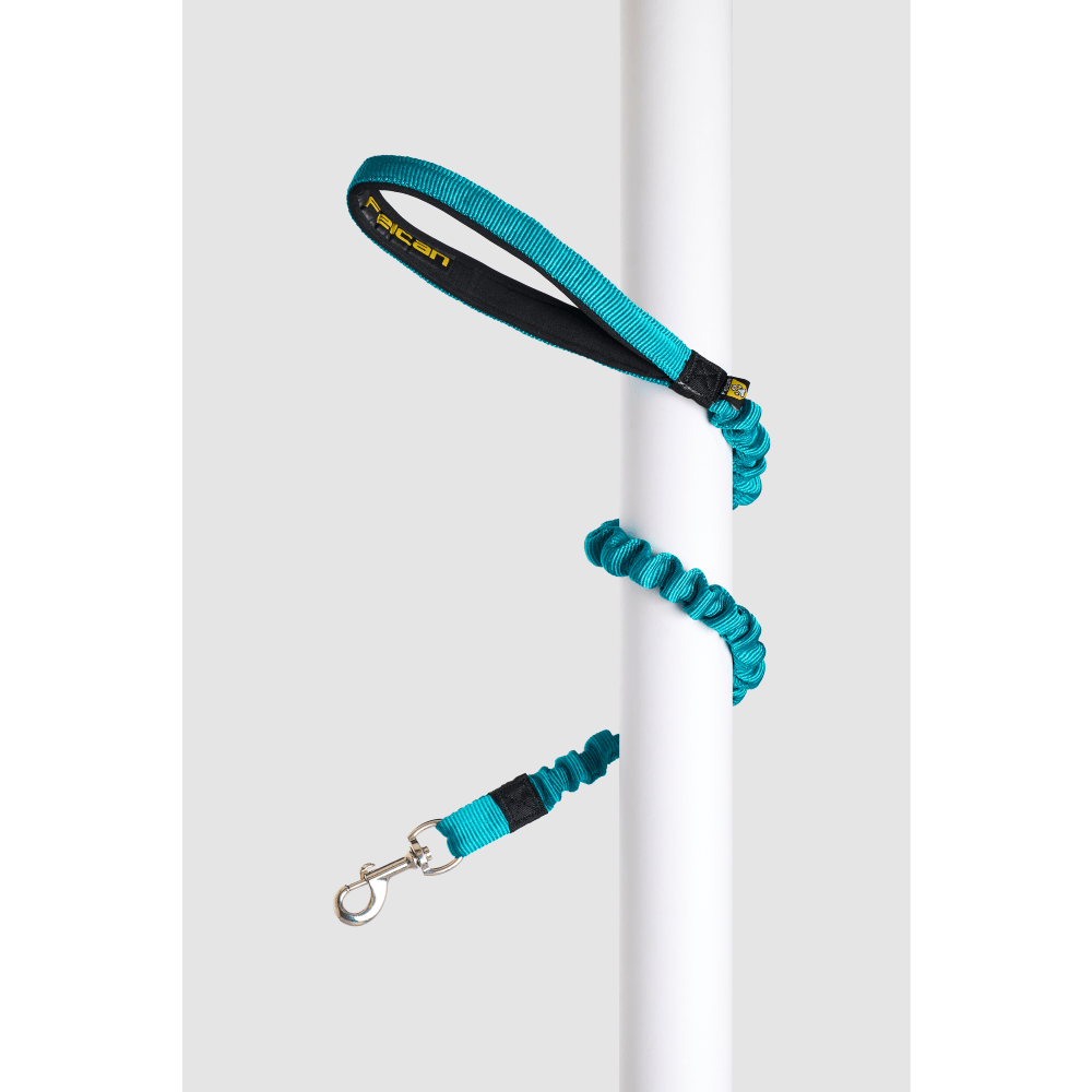 Correa Para Mascostas Anti Shock Verde J Felcan S/M