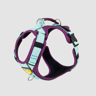 Arnés D-Mountain Barny/Menta Felcan para perro S