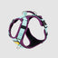 Arnés D-Mountain Barny/Menta Felcan para perro S
