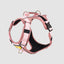 Arnés D-Mountain Palo De Rosa/Rosado Felcan para perro S