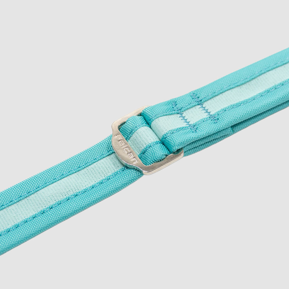 Correa Walker Menta Felcan para perro L-XL