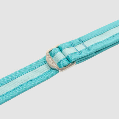 Correa Walker Menta Felcan para perro L-XL