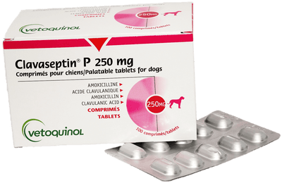 Tabletas Masticable Para Perro Invet Clavaseptin (precio por blíster) 250 mg